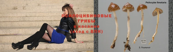бутират Кукмор