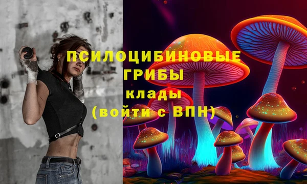 бутират Кукмор