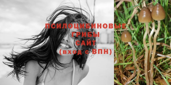 бутират Кукмор