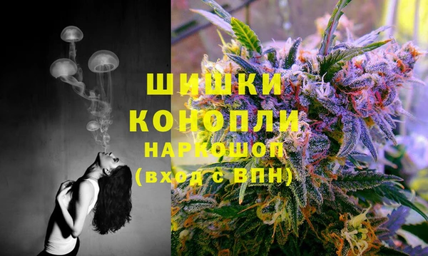 ГАЛЛЮЦИНОГЕННЫЕ ГРИБЫ Куйбышев